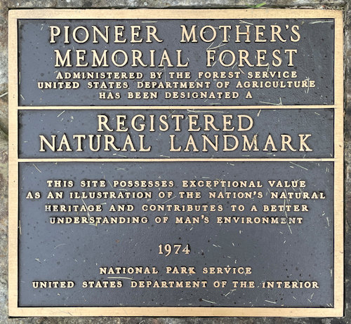 Plaque